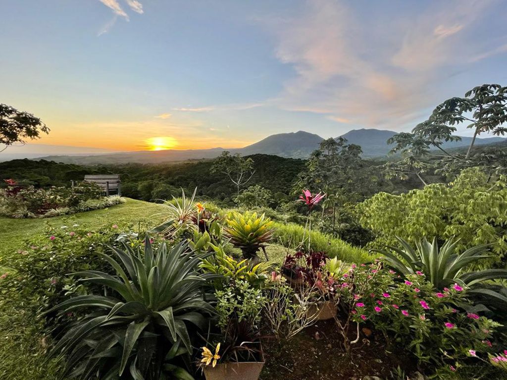 360º Gardens