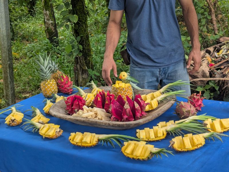 Finca Eco Orgánica Sarapiquí