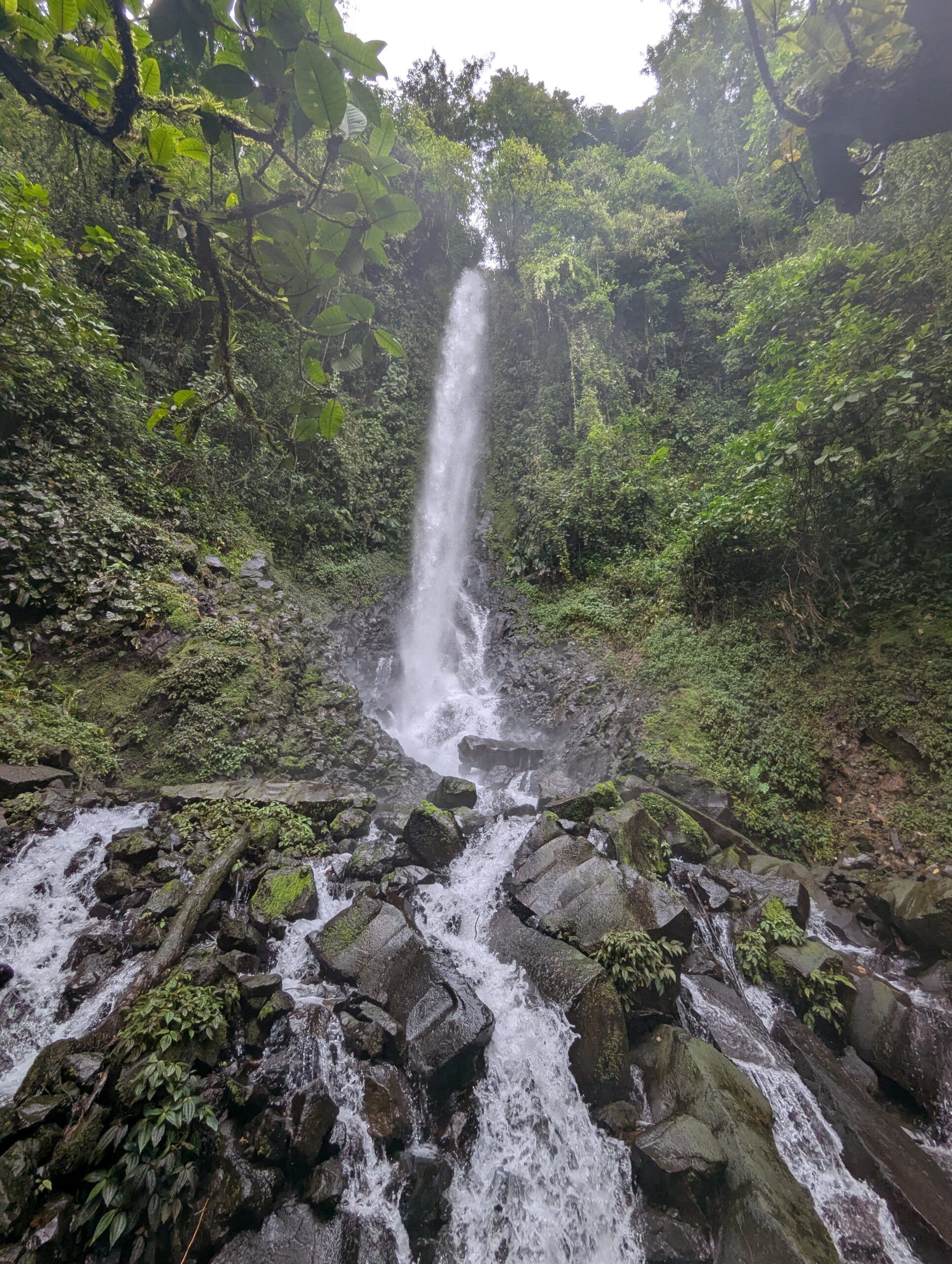 Paraiso Manantiales
