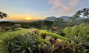 360º Gardens