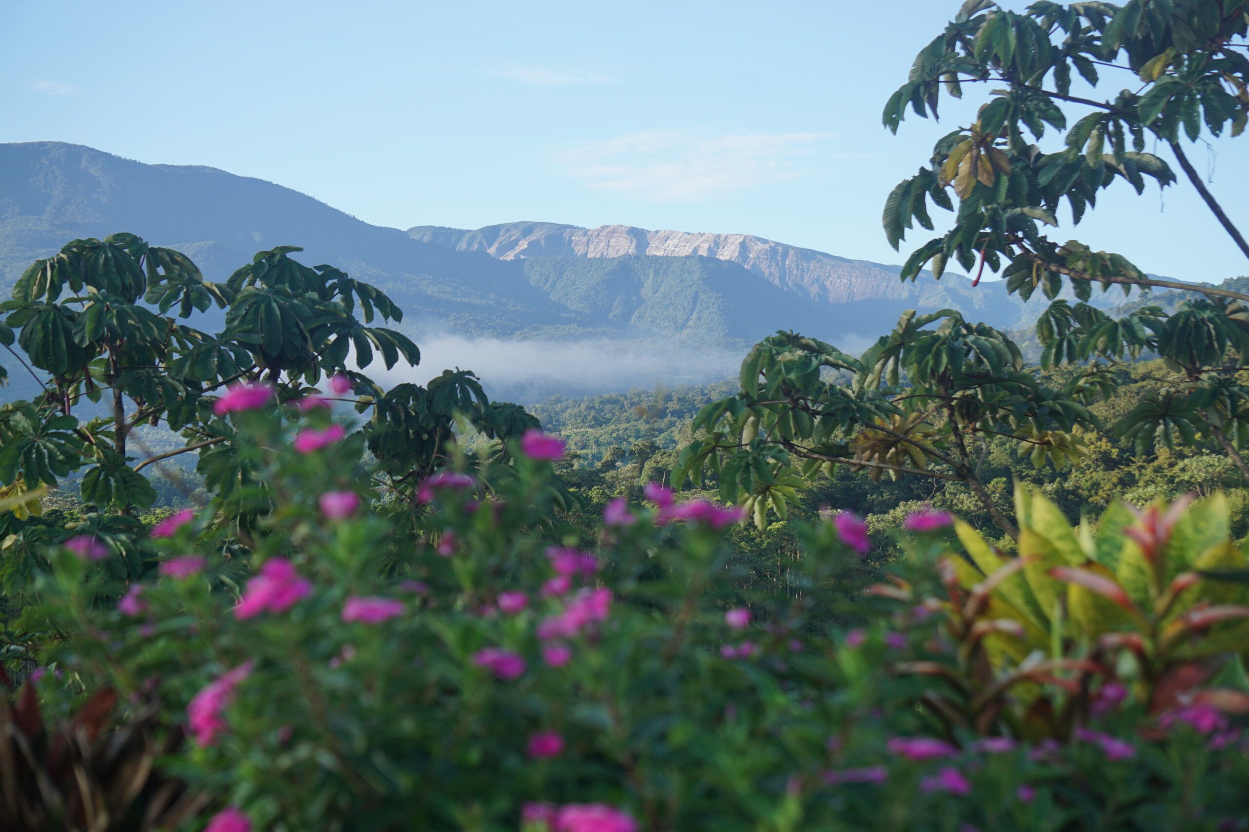 Costa Rica Nature’s Bliss Retreat 2026