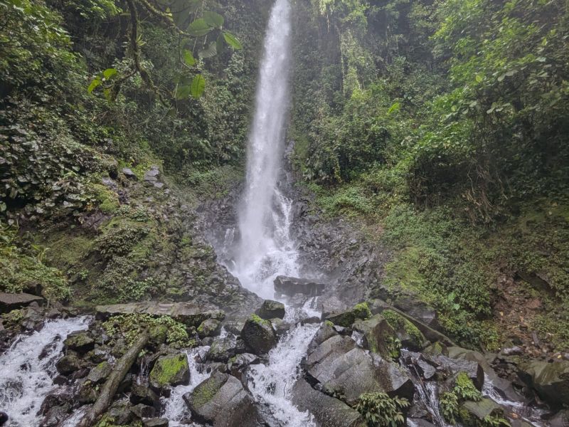 Paraiso Manantiales