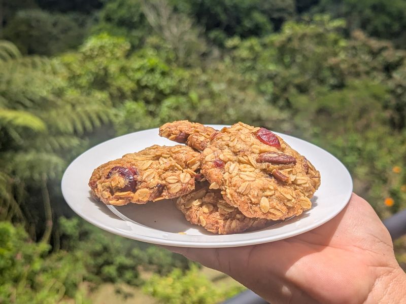 Finca 360’s signature Oatmeal, Cranberry, Pecan cookies