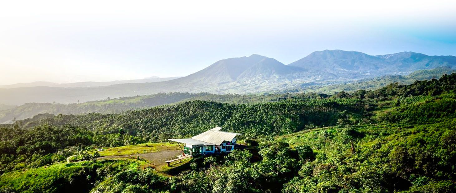 Welcome to the Finca 360 Blog!