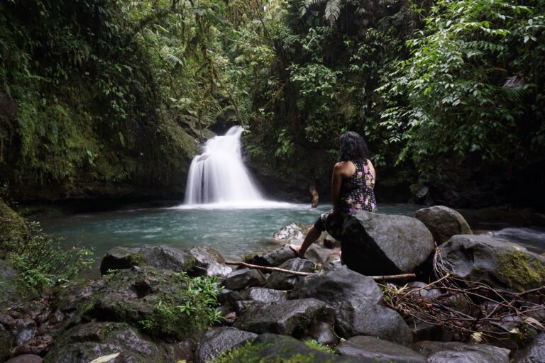 Catarata San Martin.M